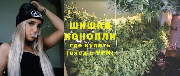твердый Гусиноозёрск