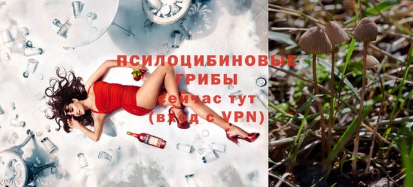 прущие крисы Строитель