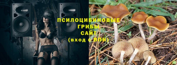бутират Гусев