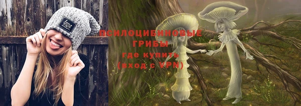 бутират Гусев