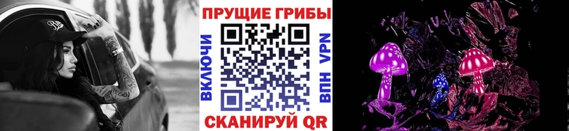 Купить  Каргат  Галлюциногенные грибы прущие грибы 