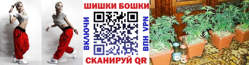 Купить где Каргат Конопля планчик